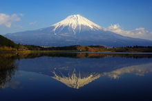 220px-070127_tanuki-fuji