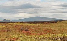 220px-Skjaldbreidur_Herbst_2004